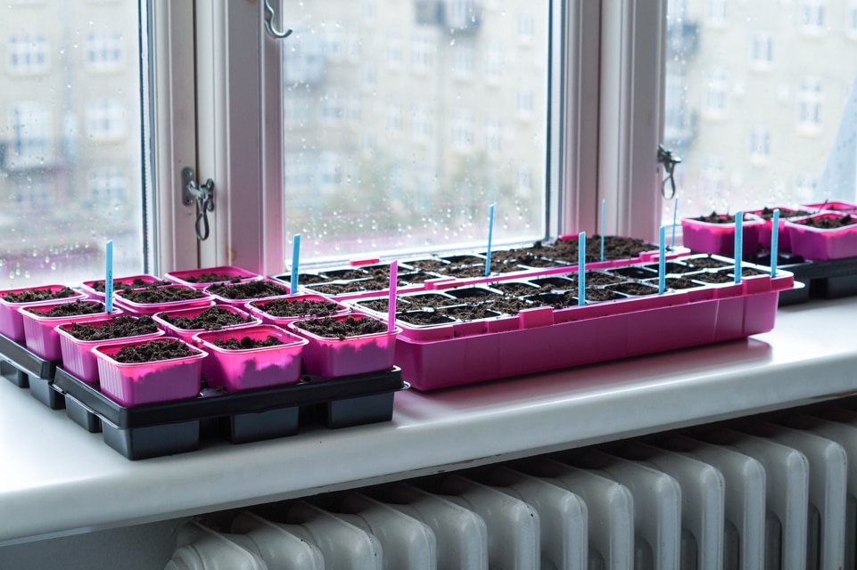 Urban garden min lille altan have stinna