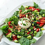 Tomatsalat med burrata