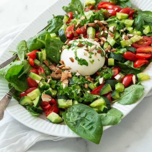 Tomatsalat med burrata