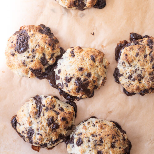 Chokoladescones med hytteost
